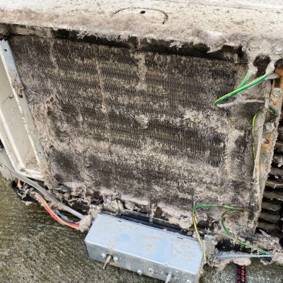 WhatsApp Image 2025-11-09 at 21.54.50 (1)